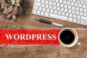 WordPress developer agency